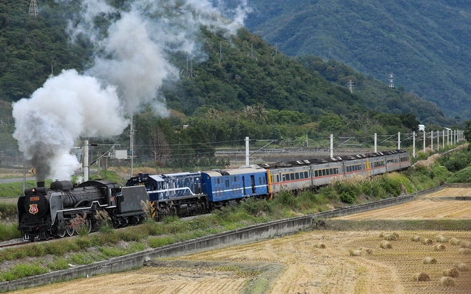 【台鐵】DT668(D51)牽引2021仲夏寶島號(20211127)