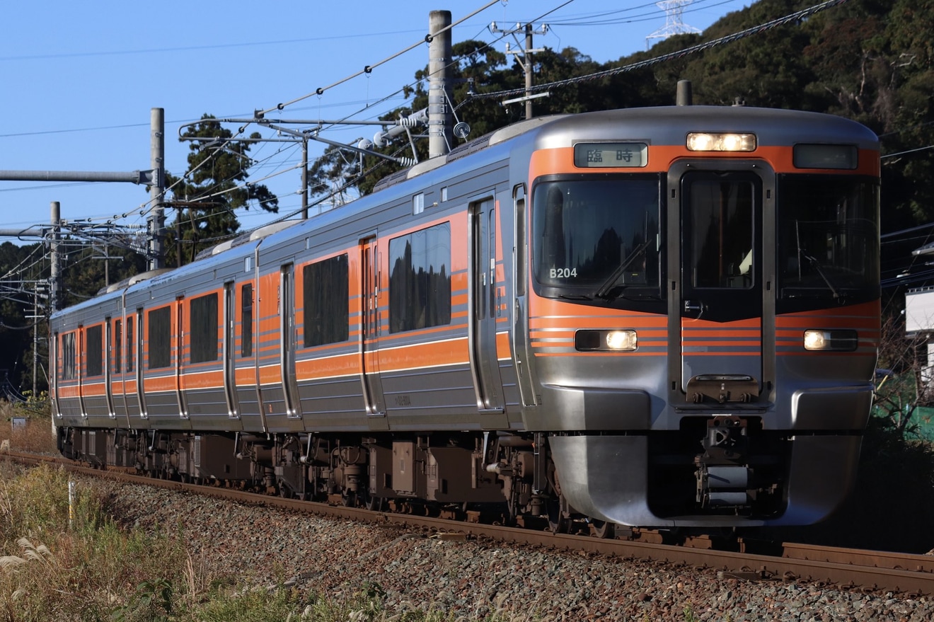 【JR海】313系8000番台B204編成使用のさわやかウォーキング開催に伴う飯田線臨時列車の拡大写真
