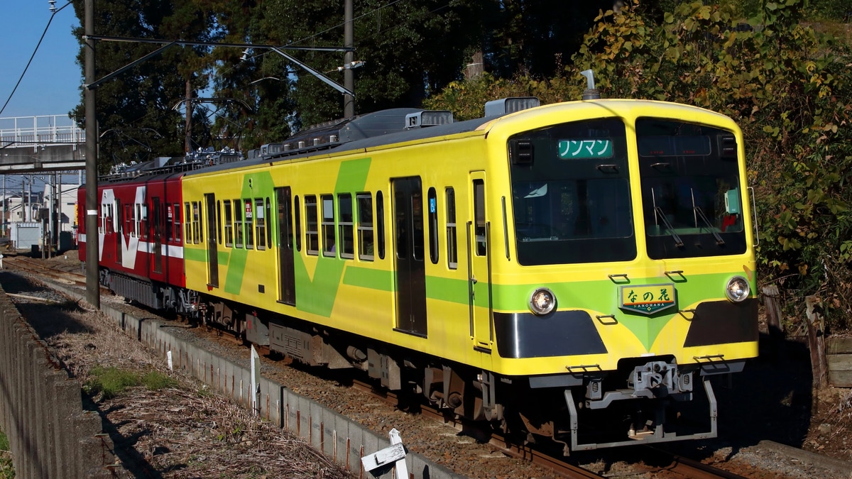 流鉄 5000形あかぎ なの花で営業運転 2nd Train鉄道ニュース