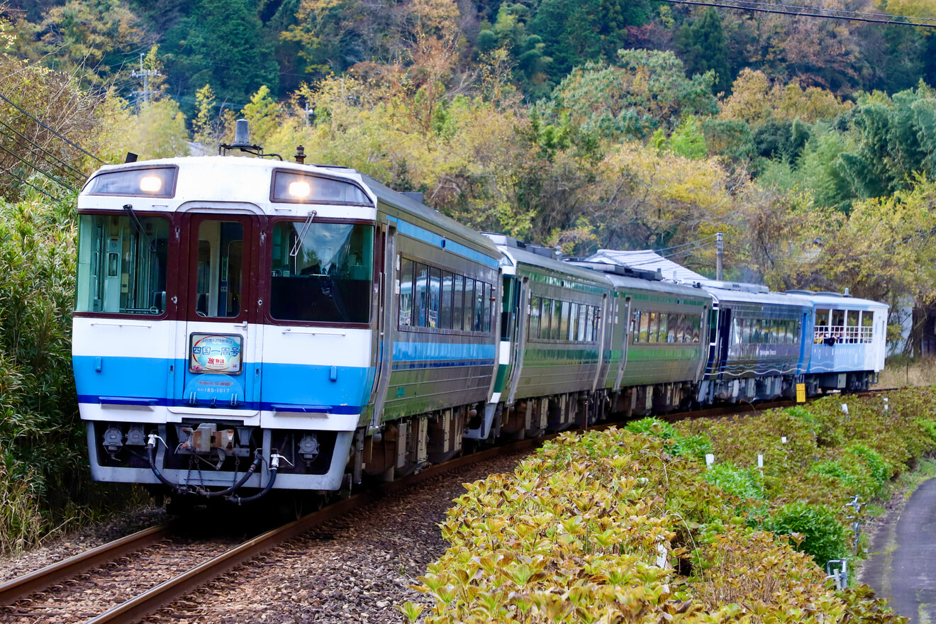 【JR四】四国一周号+藍よしのがわトロッコの5両編成の臨時団体列車の拡大写真