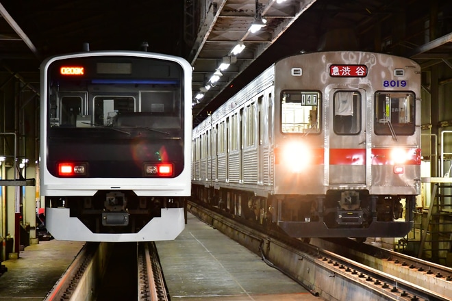 【伊豆急】8000系TB-7編成(歌舞伎/前面赤帯)を使用した団体臨時列車を伊豆高原駅で撮影した写真