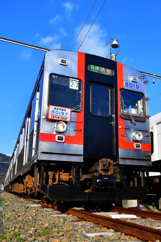 【伊豆急】8000系TB-7編成(歌舞伎/前面赤帯)を使用した団体臨時列車を伊豆急下田駅で撮影した写真
