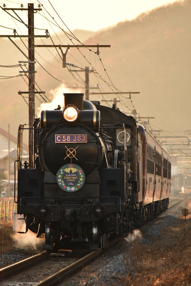 【秩鉄】SLパレオエクスプレスがchristmas Expressとして運転を桜沢～小前田間で撮影した写真