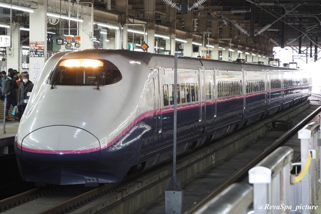 【JR東】E2系使用のはやて375号新青森行を大宮駅で撮影した写真