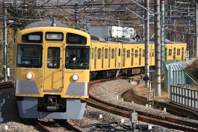 【西武】2000系2541F+2417F武蔵丘車両検修場入場回送を入間市駅で撮影した写真
