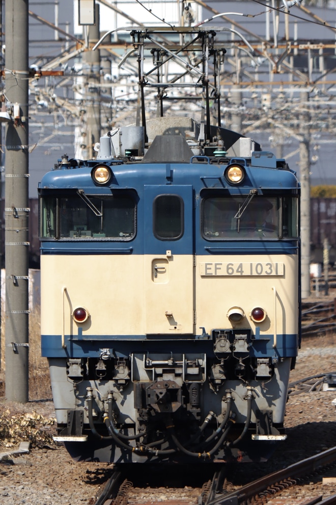 【JR東】EF64-1031国府津車両センターへを新川崎駅で撮影した写真