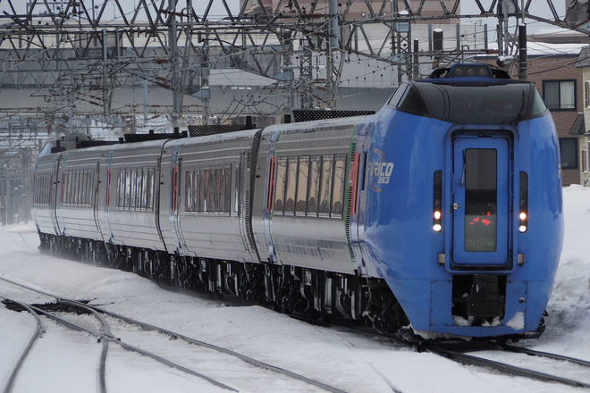 【JR北】特急「おおぞら」のキハ261系統一に伴いキハ283系の定期運用が終了を白石駅で撮影した写真