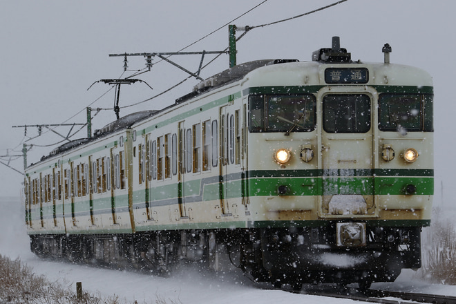 【JR東】新潟地区の115系定期運行終了を分水～粟生津間で撮影した写真