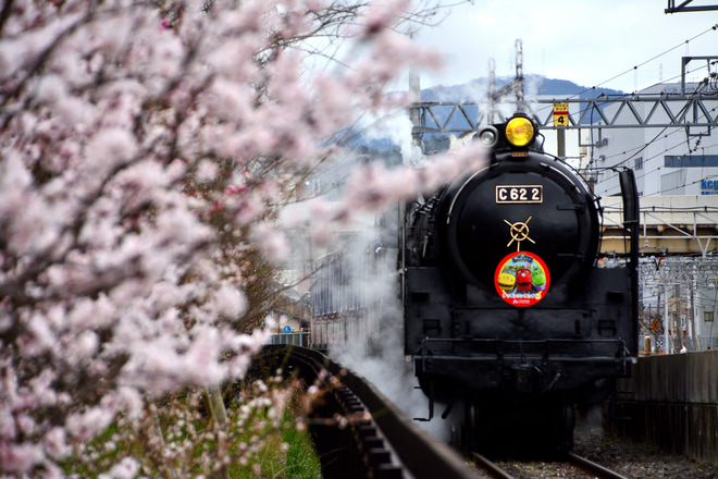【JR西】SLスチーム号 「チャギントン」ヘッドマークを取り付けを京都鉄道博物館付近で撮影した写真
