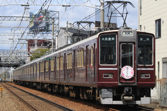 阪急】『さくら』ヘッドマーク掲出(2022年) |2nd-train鉄道ニュース