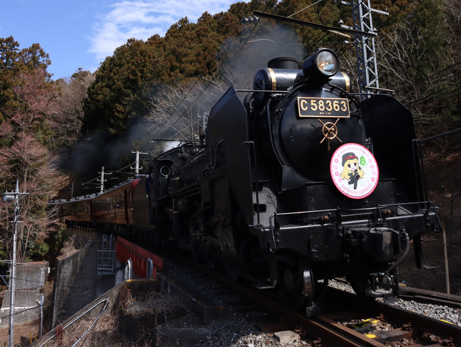【秩鉄】SLパレオエクスプレスが鉄道娘「桜沢みなの」8th BIRTHDAYとして運転を浦山口駅で撮影した写真