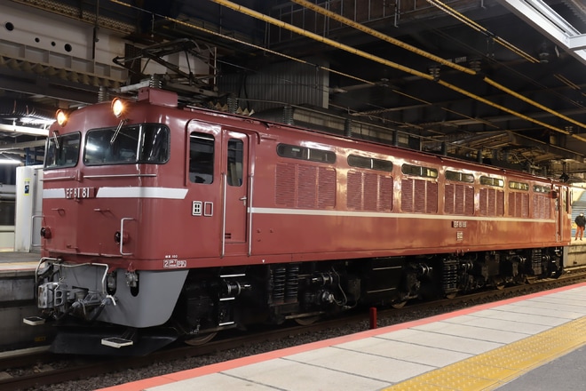 【JR東】EF81-81が松戸車両センターから返却回送