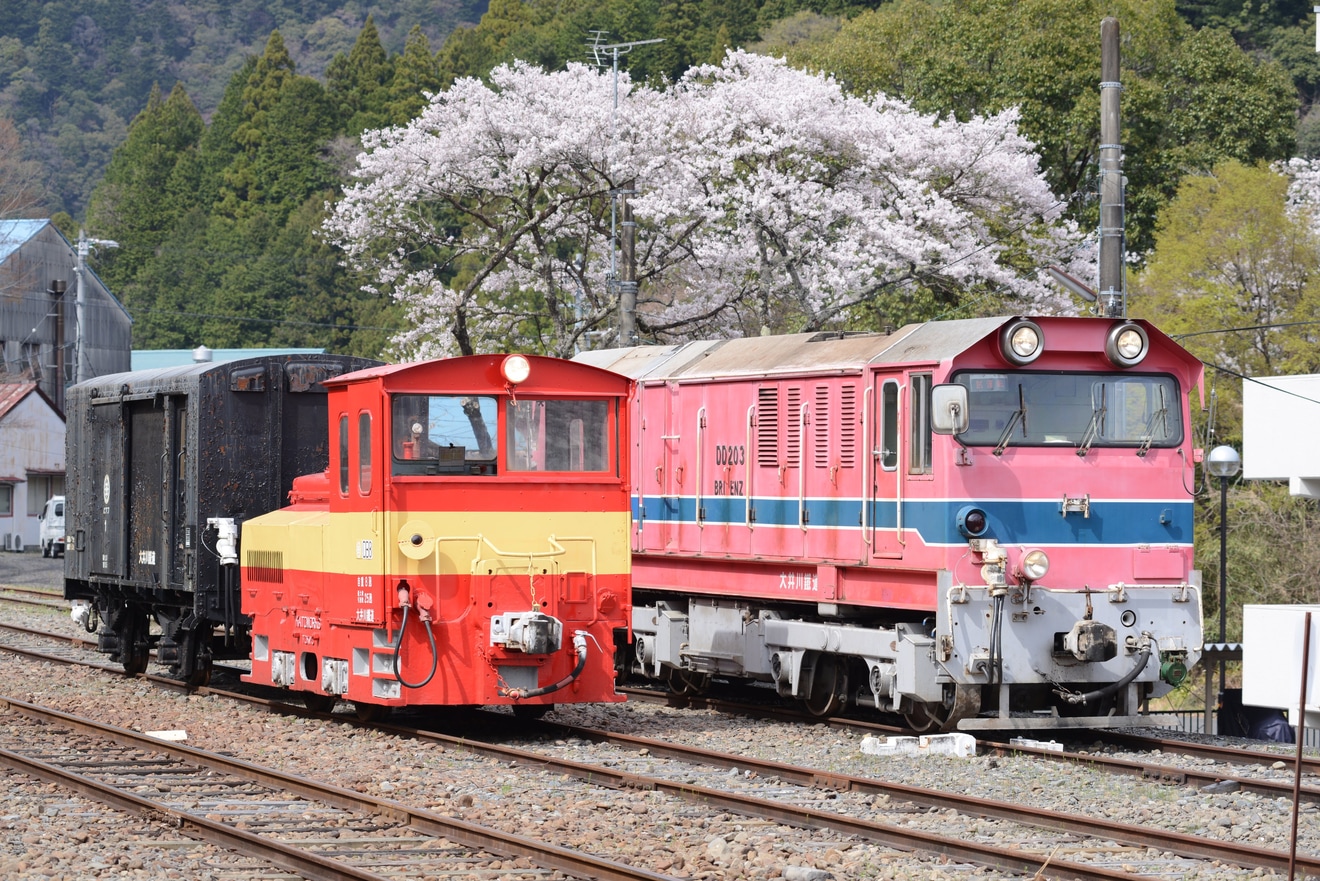 【大鐵】『小嶋企画』主催の川根両国駅撮影会の拡大写真