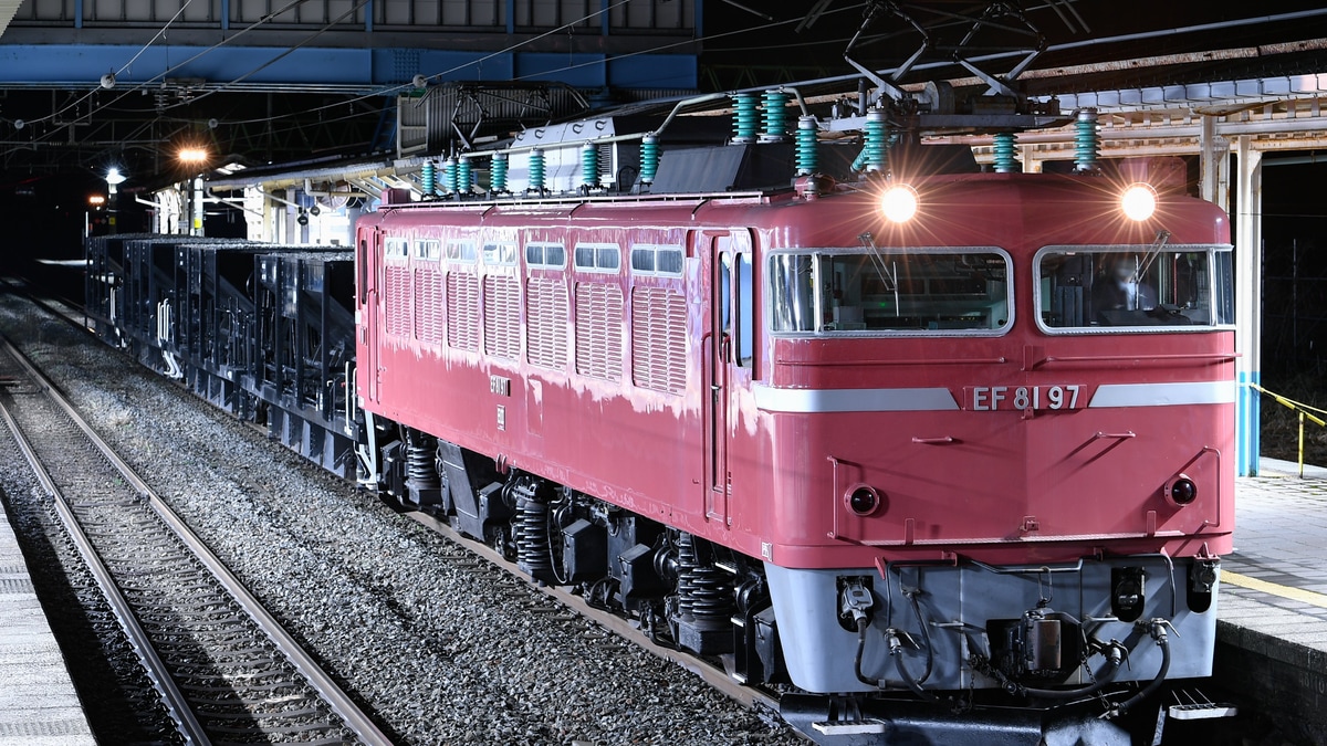 鉄瓶 真空断熱ボトル MJX-B481 2025年10月1日発売 | タイガー魔法瓶