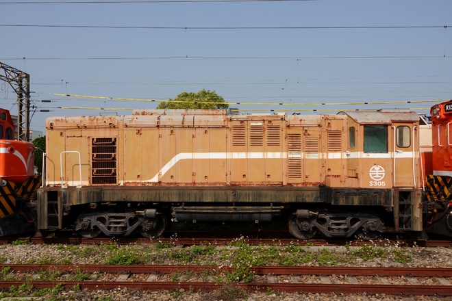 【台鐵】S300型入換機S305が富岡車両基地へ回送を不明で撮影した写真