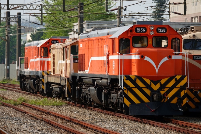 【台鐵】S300型入換機S305が富岡車両基地へ回送を苗栗駅で撮影した写真