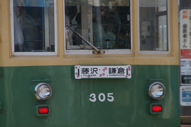 【江ノ電】300形 305F 桜サボ掲出を不明で撮影した写真