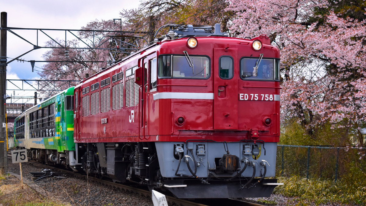 【JR東】風っこ仙山線春風号運転 |2nd-train鉄道ニュース