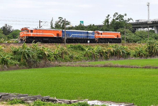 【台鐵】R0型R6が富岡車両基地へ回送を竹南~崎頂間で撮影した写真