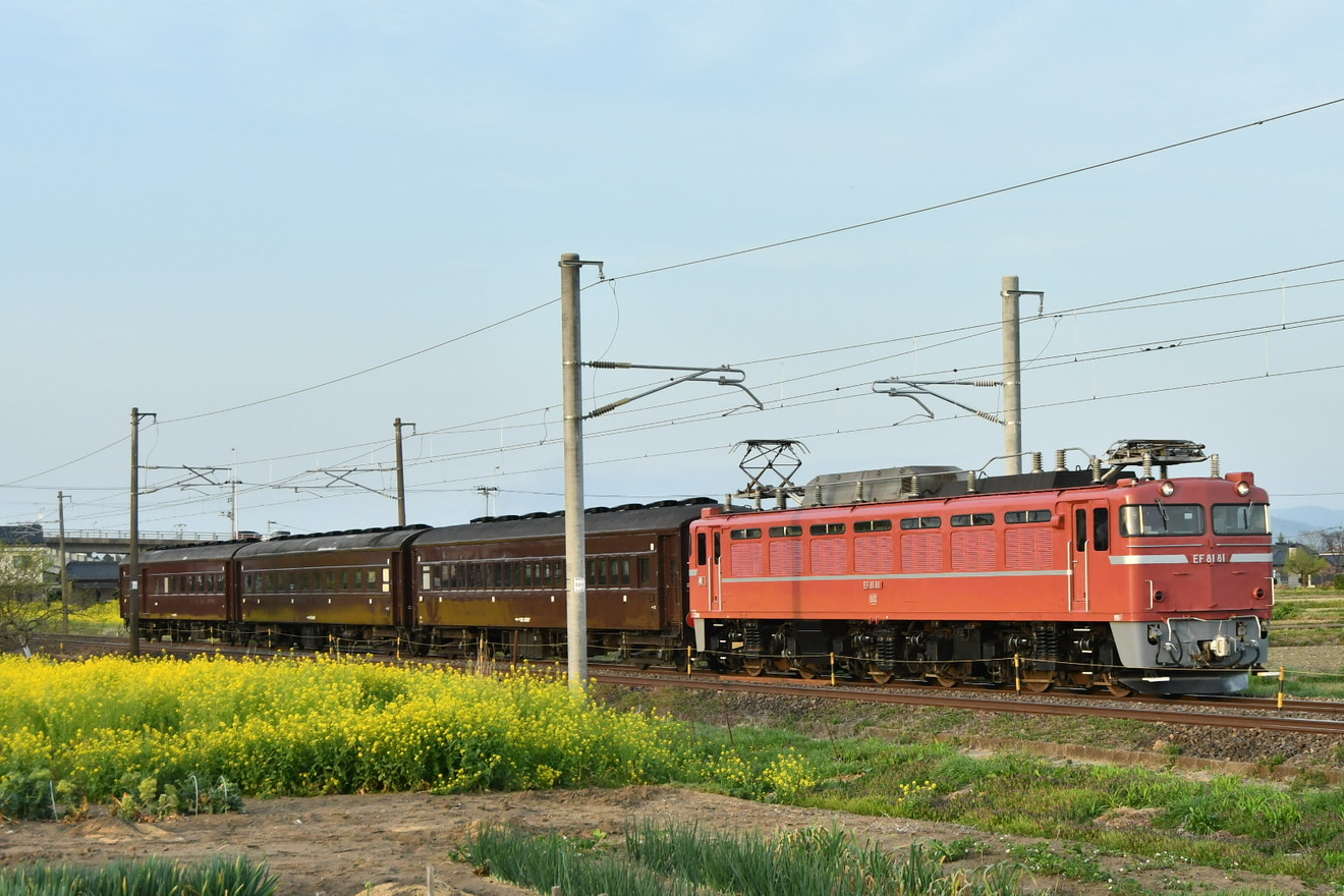 【JR東】旧型客車3両返却回送の拡大写真