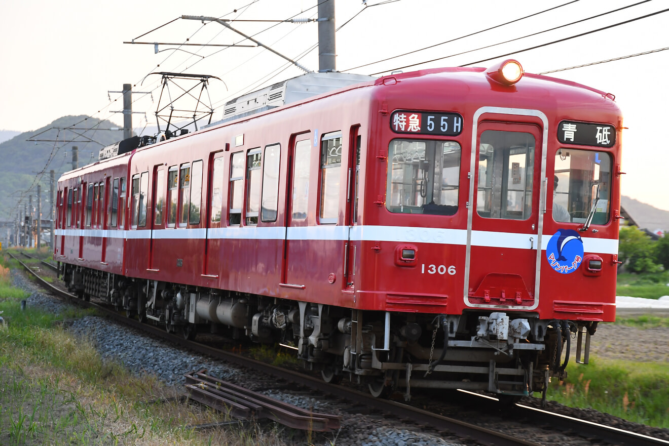 【ことでん】「追憶の赤い電車」の支援者向け貸切列車の拡大写真