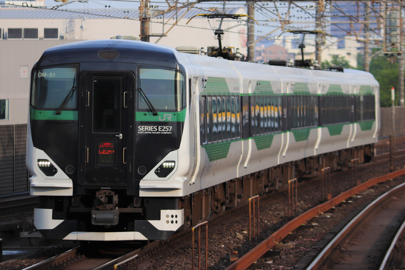 【JR東】E257系5500番台OM-51編成使用 特急「しおさい82号」運転の拡大写真