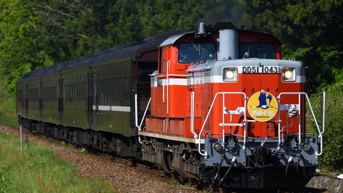 JR西】「SLやまぐち」号がDD51牽引で代走中 |2nd-train鉄道ニュース