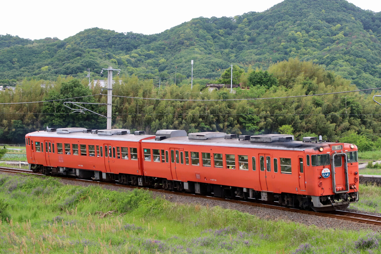 【JR四】「キハ47気動車でゆく復刻いよ号の旅」ツアーの拡大写真