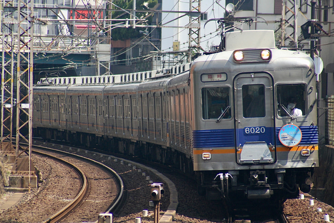 【南海】6000系6001F+6909Fの団臨が運転を帝塚山駅で撮影した写真