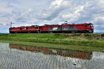 【JR貨】EH800-2 大宮車両所へ入場のため回送