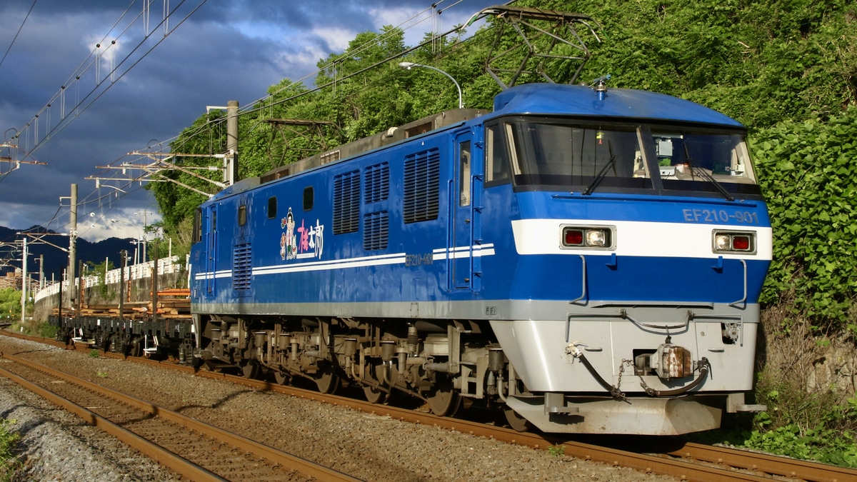 配信元 チキ7000 安治川口常備車 | forrajeraelizondo.com