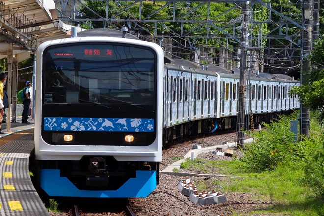 【伊豆急】3000系「アロハ電車」(元JR東209系)がJR伊東線での運用を開始を不明で撮影した写真