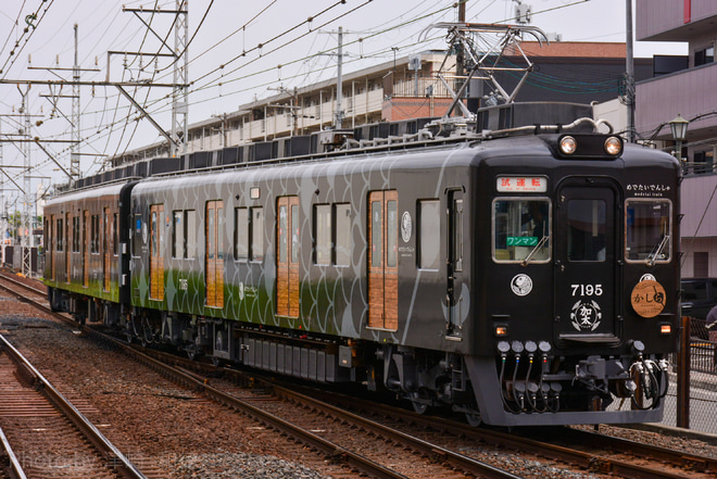 【南海】7100系7195F「めでたいでんしゃ かしら」千代田工場出場試運転を白鷺駅で撮影した写真