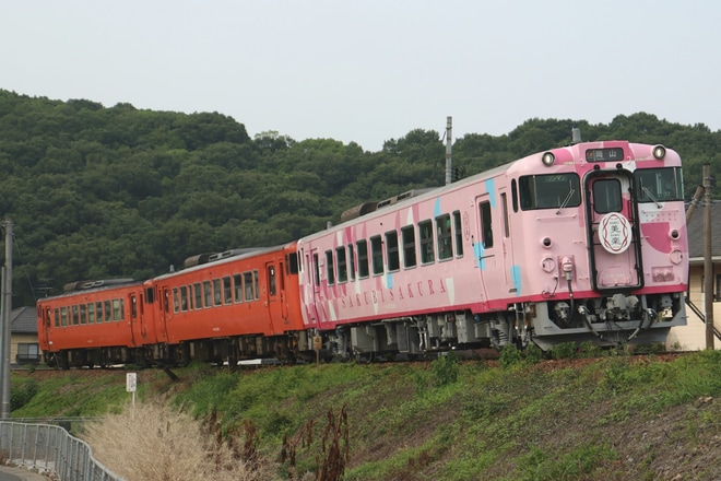 【JR西】キハ40-2049 「SAKU美SAKU楽」が定期列車と連結し試運転を不明で撮影した写真