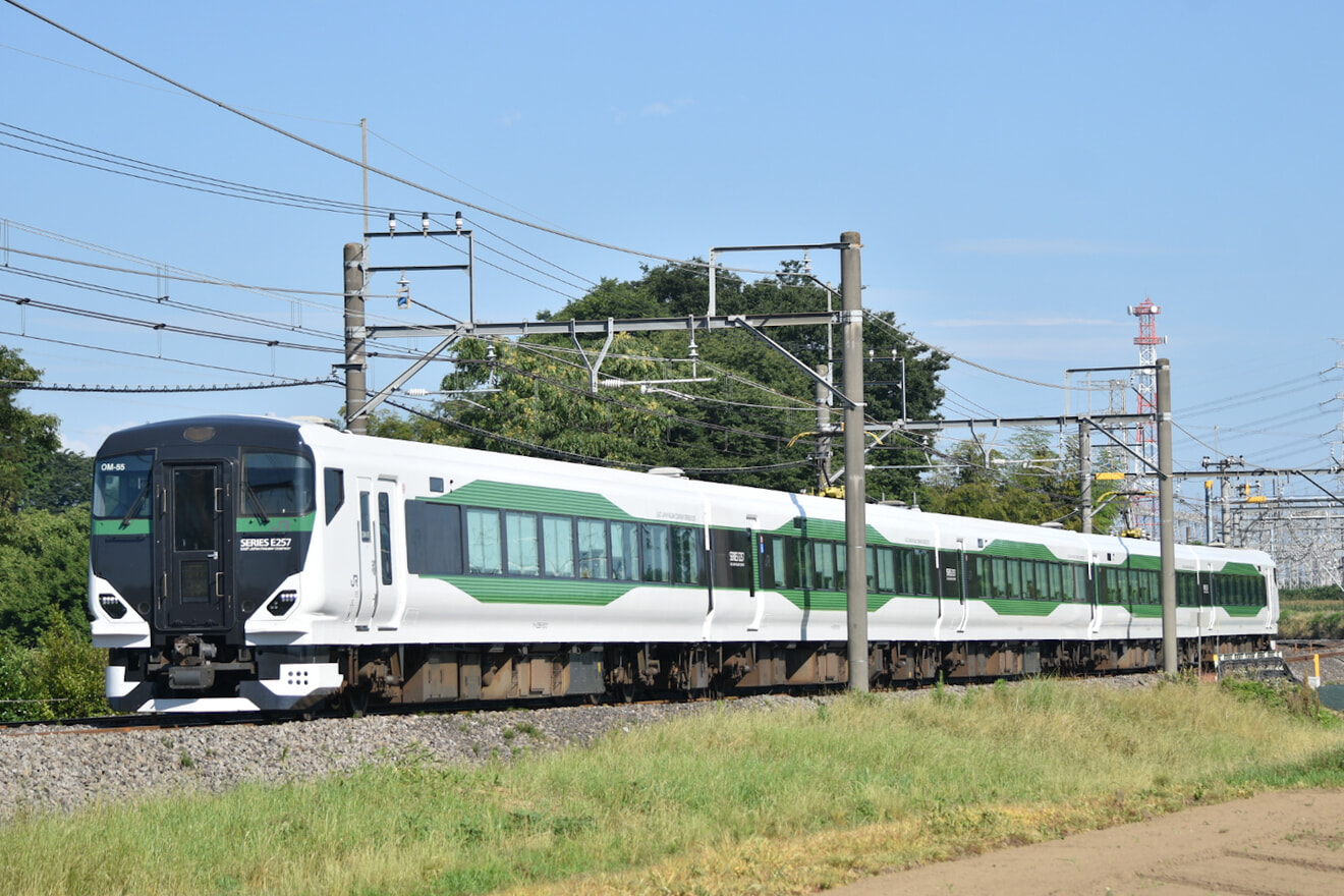 【JR東】E257系OM-55編成を使用した団体列車の拡大写真
