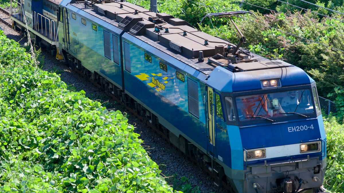 トラムウェイ神奈川臨海DD561 : 急行越前の鉄の話