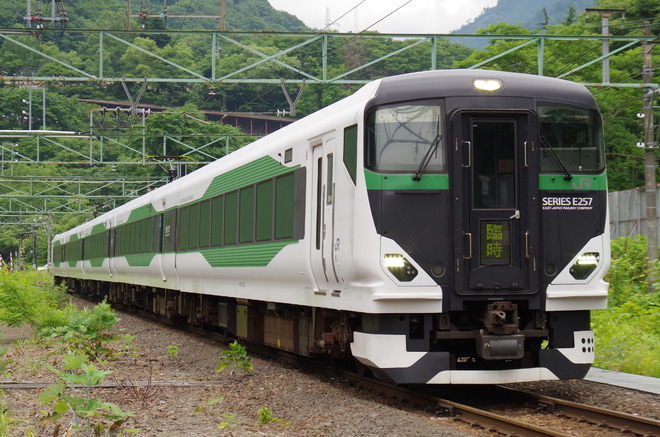 【JR東】特急「谷川岳山開き」を臨時運行を土合駅で撮影した写真