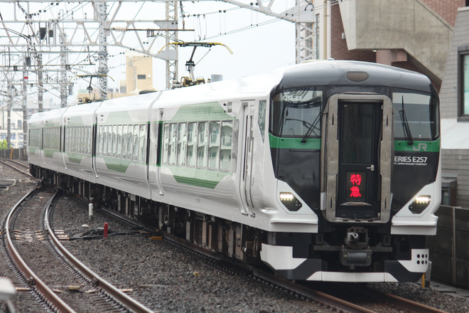 【JR東】特急「佐原夏まつり」号運行(2022)を市川駅で撮影した写真