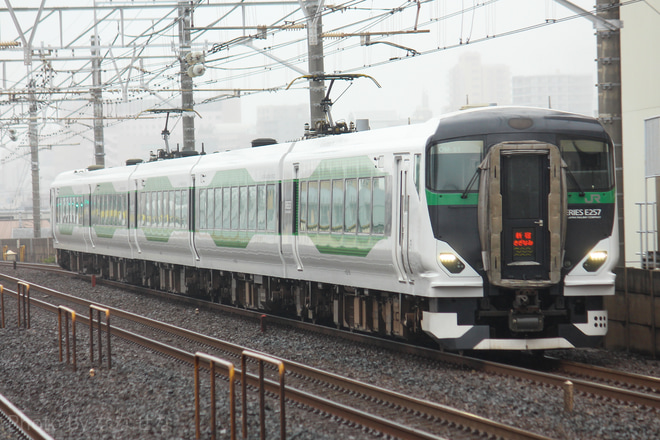 【JR東】「新宿さざなみ」号にE257系5500番台が充当を本八幡駅で撮影した写真