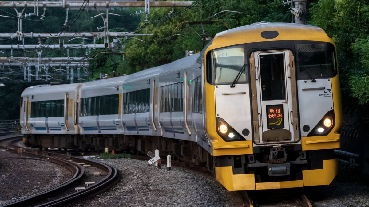 JR東】わかしお・さざなみ運行開始50周年記念ラッピング編成が新宿