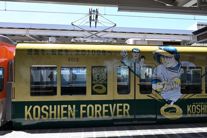 【阪神】8000系8219F「阪神甲子園球場100周年記念」ラッピング開始