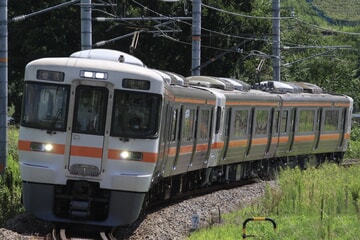 【JR海】大垣車両区所属の313系Z5編成が身延線運用に