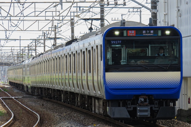 【JR東】総武快速線からの快速姉ヶ崎行運行を五井駅で撮影した写真