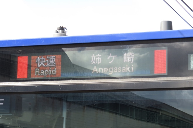 【JR東】総武快速線からの快速姉ヶ崎行運行を不明で撮影した写真