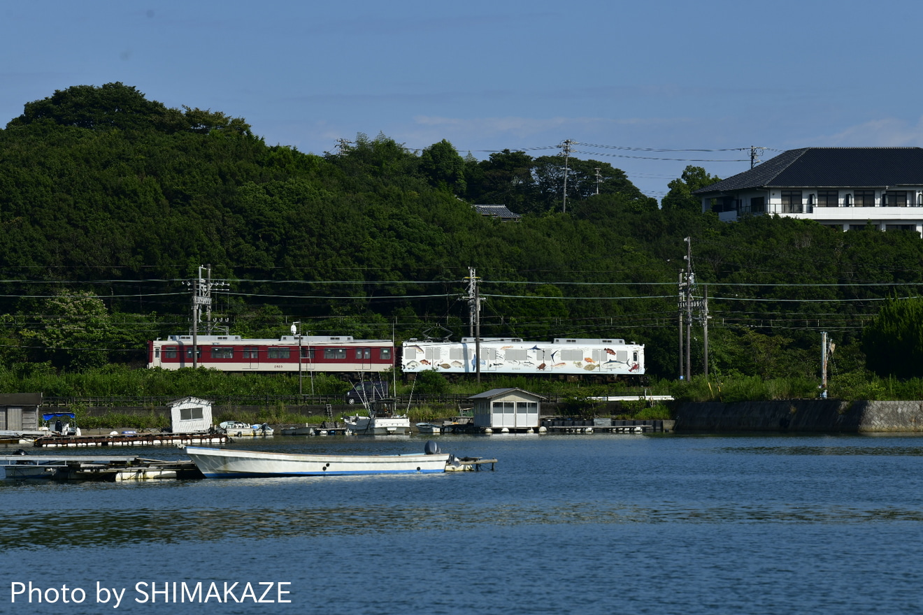 【近鉄】2410系 W23「お魚図鑑」を使用した貸切列車の拡大写真