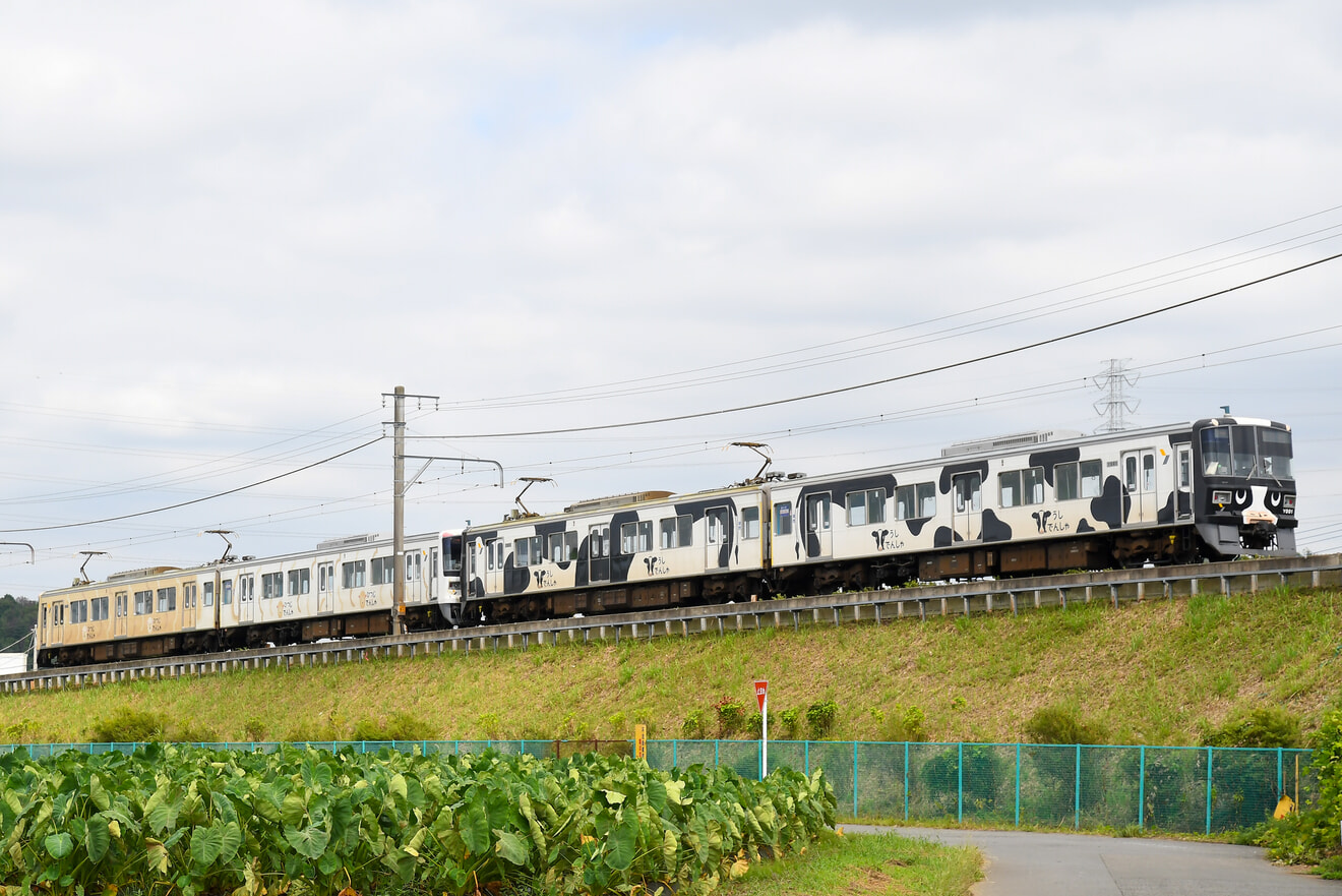 【横高】Y000系 うしでんしゃ+ひつじでんしゃ 試運転の拡大写真