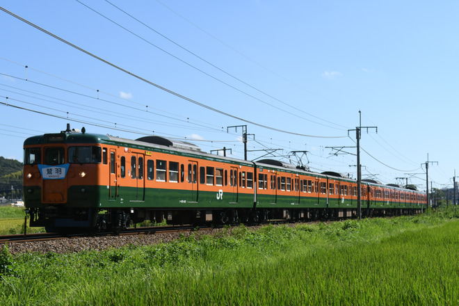 【JR西】急行「鷲羽」リバイバル運転