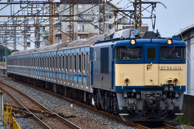 【JR東】E231系ミツK3編成 配給輸送を西浦和駅で撮影した写真