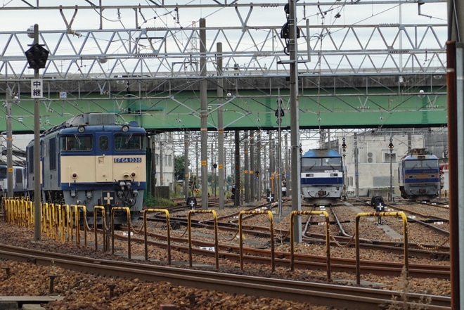 【JR貨】「さわやかウォーキング」の鉄道満喫コースで「JR貨物稲沢駅公開イベント」開催を不明で撮影した写真