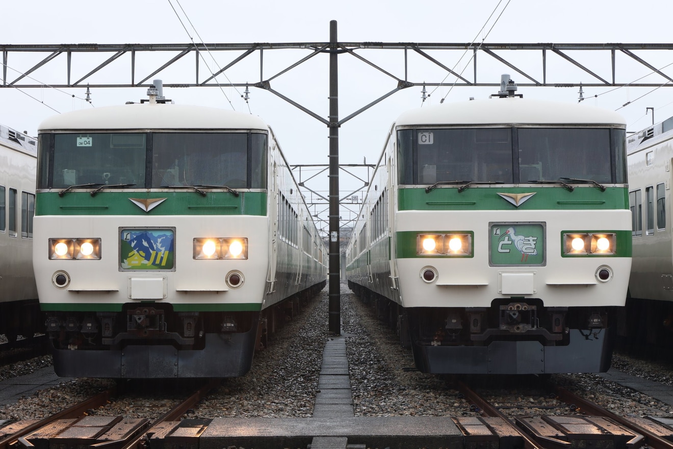 【JR東】185系「新幹線リレー号塗装 復活撮影会」開催の拡大写真